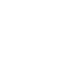 decorRightDownload